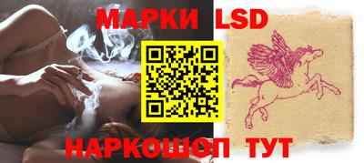крисы Шелехов