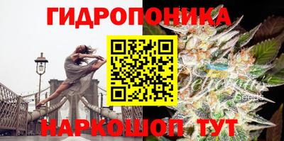 дурь Будённовск