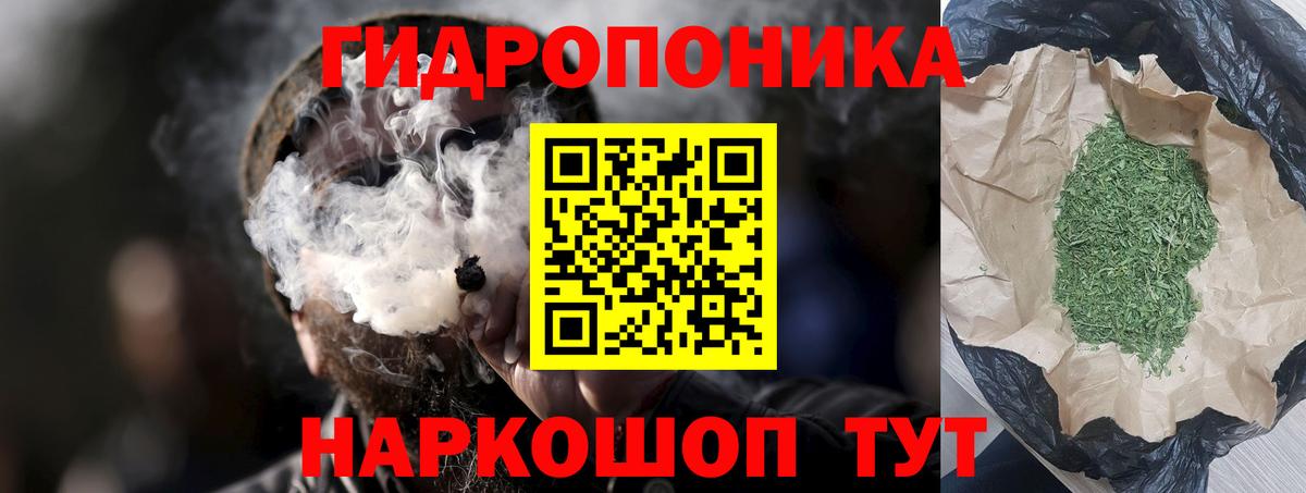 Каннабис OG Kush Лабытнанги
